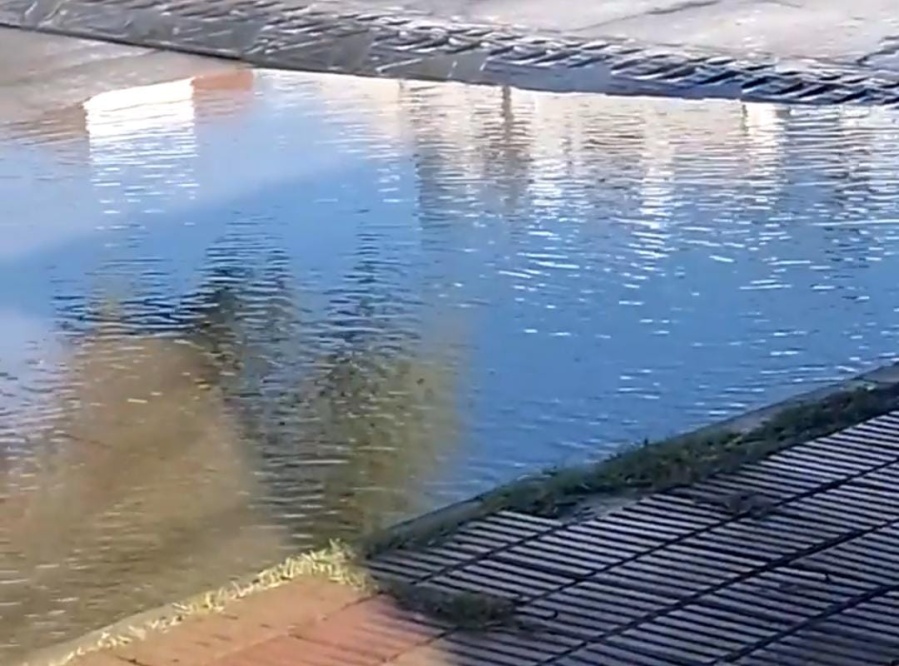 ”A ver si nos ayudan”: vecinos de Los Hornos reclaman por una pérdida de agua que se transformó en un ”río”