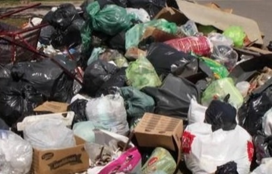 En la zona de 13 y 90 reclamaron por ”basurales a cielo abierto” y la presencia de roedores