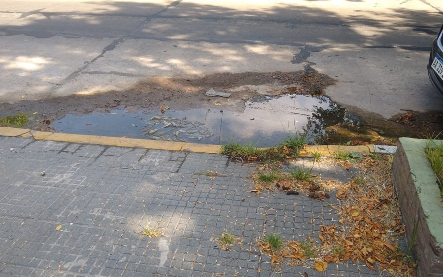 Denunciaron que una pérdida de agua en Barrio Norte está levantando las baldosas