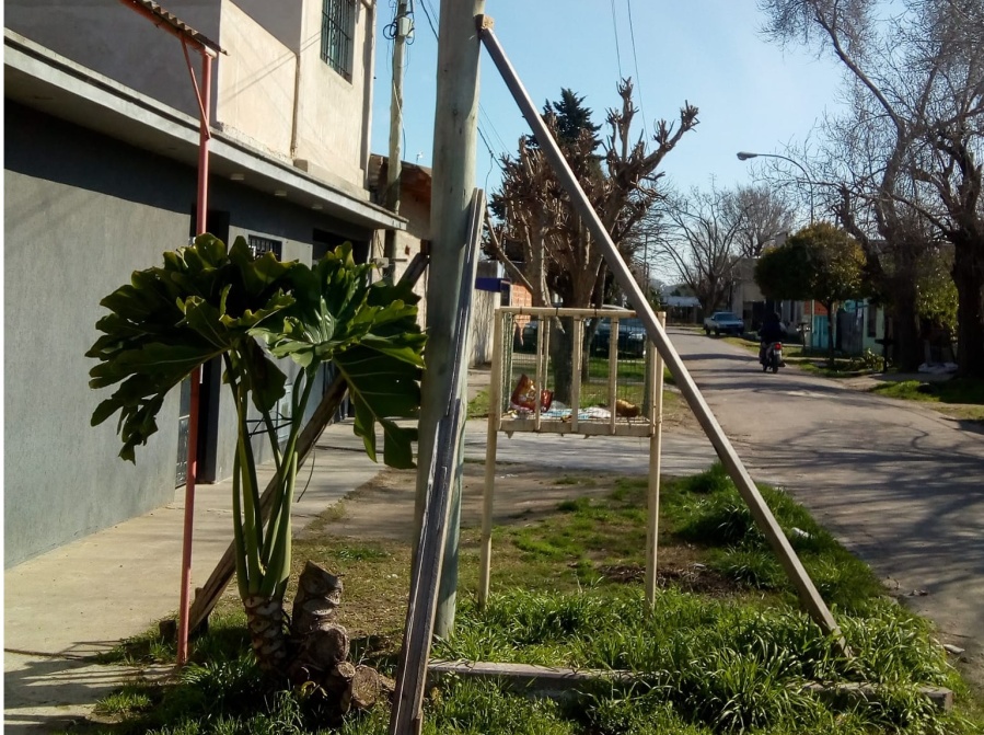 En 156 bis y 68 temen por un poste que tiene la base podrida: ”Es peligroso”