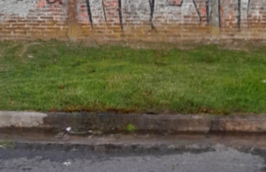En Barrio Jardín reclamaron por una pérdida de agua que ya lleva 9 meses