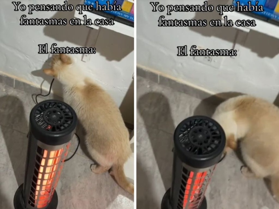 ”Pensé que había fantasmas en la casa”: Las cosas se corrían de lugar y la explicación fue insólita