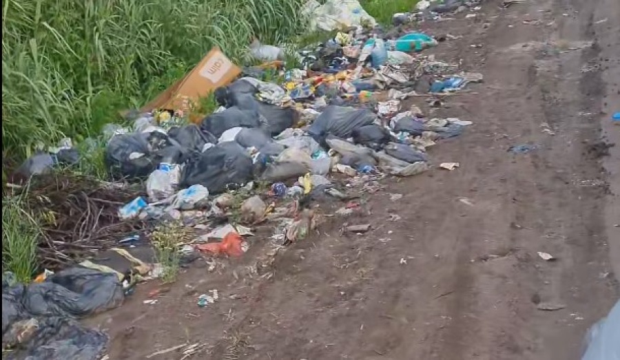 Denuncian la formación de un microbasural en la periferia de La Plata