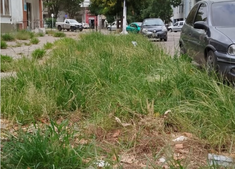 Volvieron a reclamar por el estado de la vereda de una escuela y un jardín en La Plata