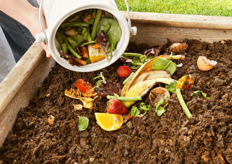 Día Mundial de la Tierra Madre: habrá múltiples actividades en La Plata para fomentar la conciencia ambiental