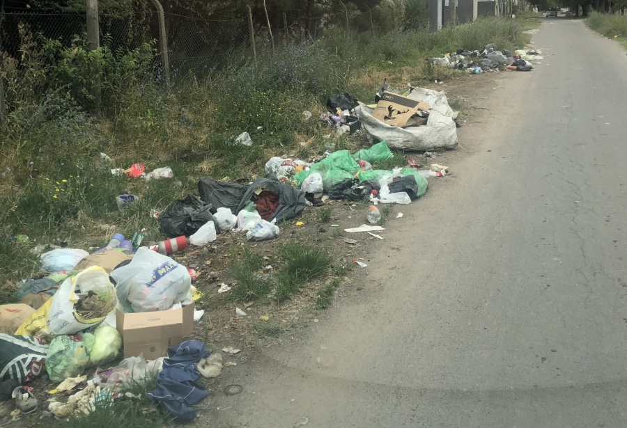 En 14 y 84 se quejaron por la gran cantidad de basura desperdigada en plena calle