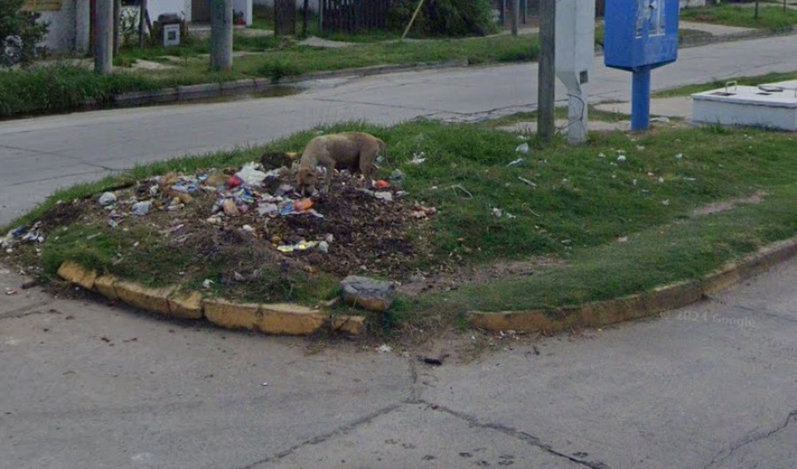 En un sector de Melchor Romero reclamaron por la falta de limpieza y recolección