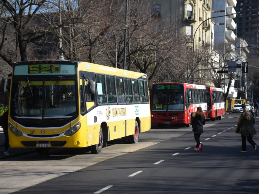 De Villa Elisa a calle 90, y de Berisso y Ensenada hacia el Oeste: el sistema de Buses de Tránsito Rápido que quiere Alak