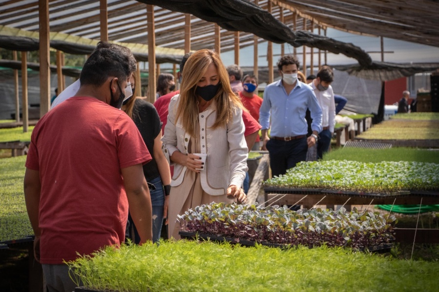 Tolosa Paz visitó una cooperativa agropecuaria de Abasto y dijo que ”Es un ejemplo platense de trabajo y producción”