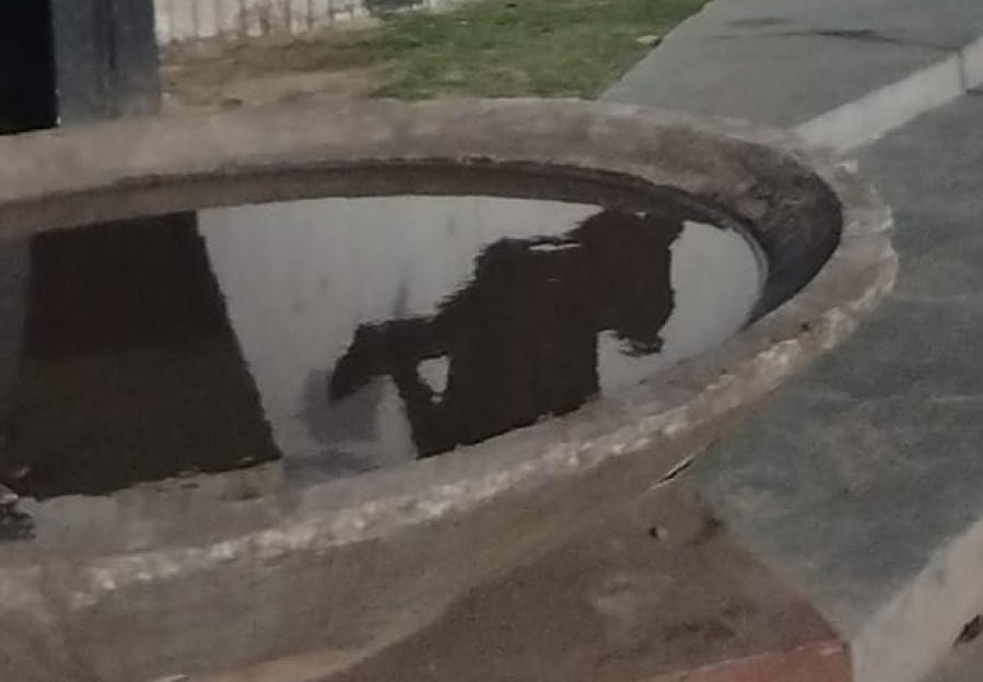 Vecinos se quejaron por la acumulación de agua en la fuente de Plaza España