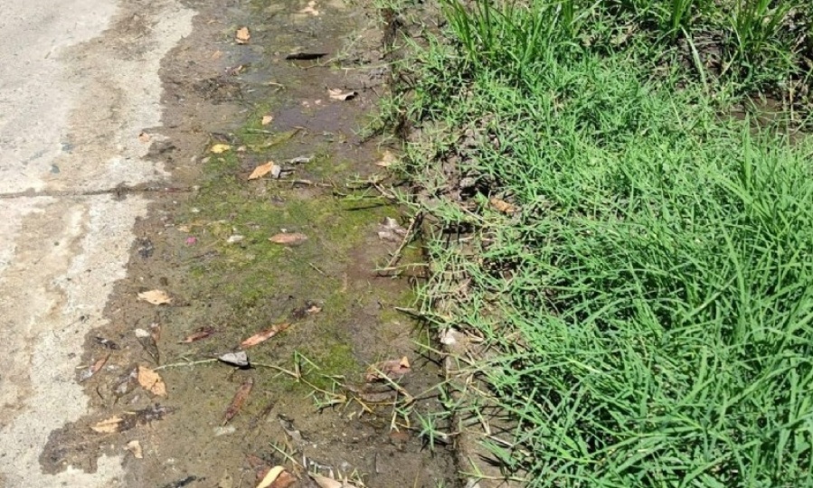 Vecinos de Barrio Jardín reclamaron que se formó un peligroso verdín por una pérdida de agua