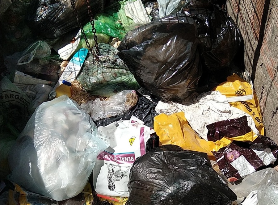 Pastizales y bolsas de basura sin juntar: el panorama que complica a los vecinos de 4 y 89