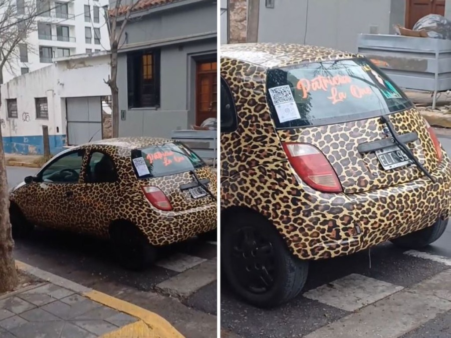 ”Dame un grr”: decoró su autito con todo el estilo y marcó tendencia en Tik Tok