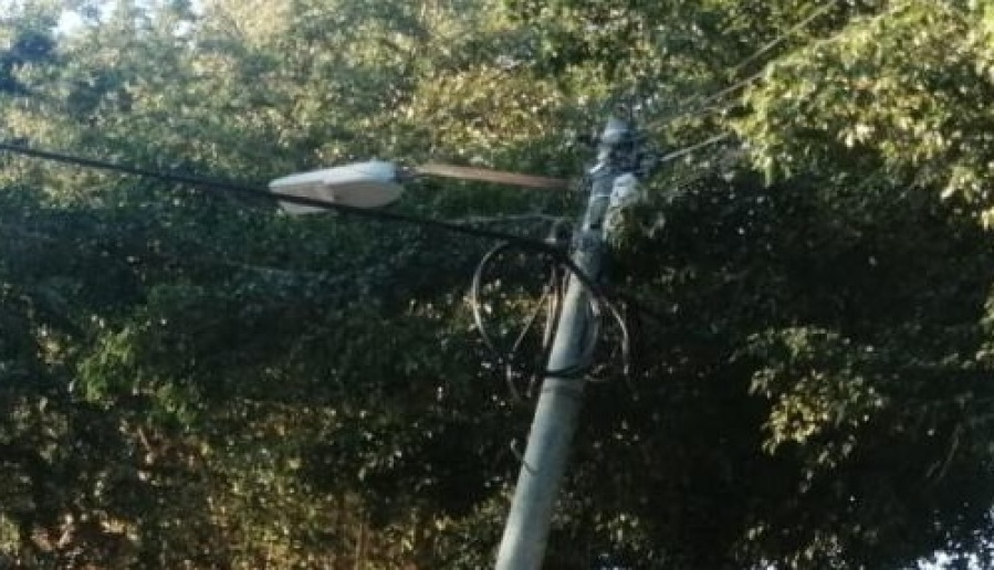 ”Ya mande todos los datos y no vinieron”: una vecina de Los Hornos pide que arreglen un poste de luz