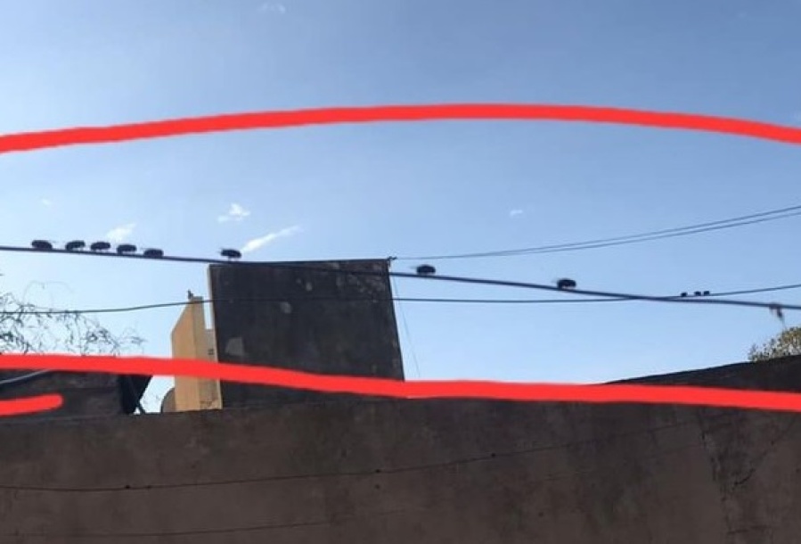 ”Te quieren usurpar la casa”: unos extraños moscardones en La Plata desataron la polémica y nadie pudo encontrar el motivo