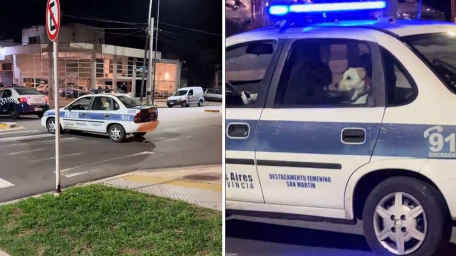 “Libertad para el Tito, vieja”: un video mostró a un insólito pasajero en una patrulla y se volvió viral