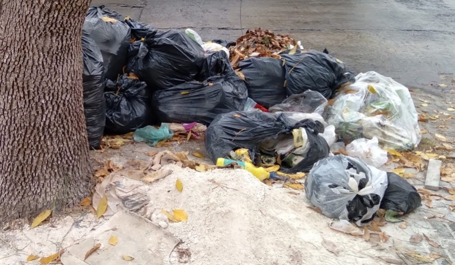 En Los Hornos reclaman por la basura que se acumula en las calles: ”Seguimos igual”