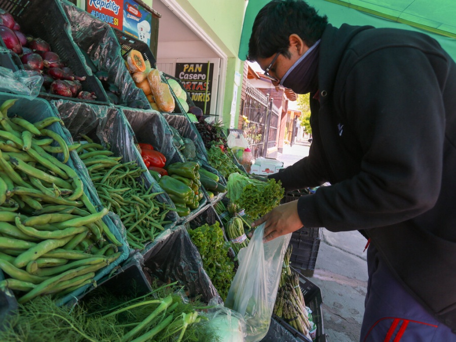 El Gobierno creará un fideicomiso para estabilizar los precios de frutas y verduras