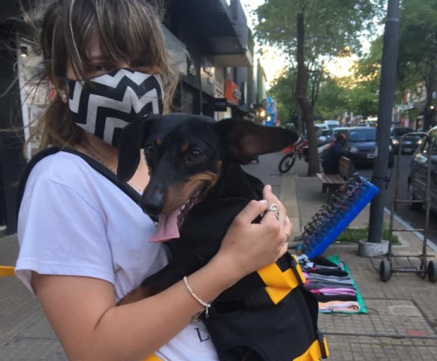 Una platense de 19 años la rompe con sus mochilas “porta-perros”, ya vende a todo el país y no descansa: ”Soportan 15 kilos”