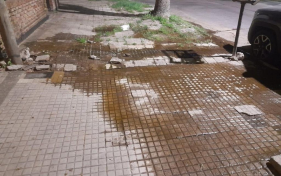 Vecinos de calle 37 entre 28 y 29 reclaman por una pérdida de agua que lleva 5 meses