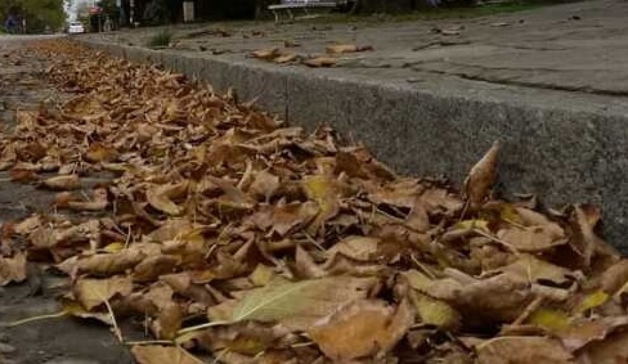 En 30 y Diagonal 73 reclamaron la presencia de los barrenderos