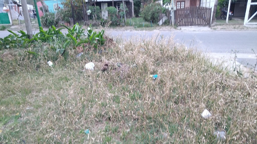 Vecinos del barrio UPCN en Villa Elvira reclaman por cortes de pasto