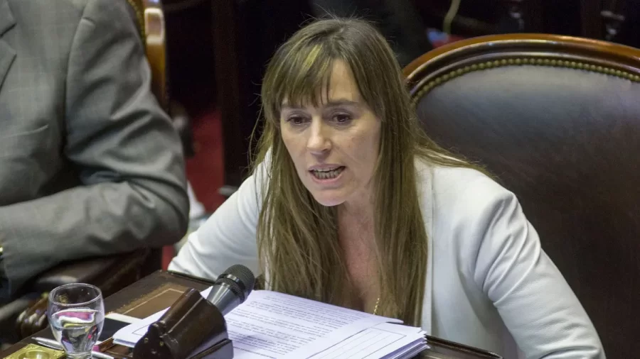Una senadora opositora cargó contra el escándalo del video fake de Kicillof: ”las mentiras de este Gobierno”