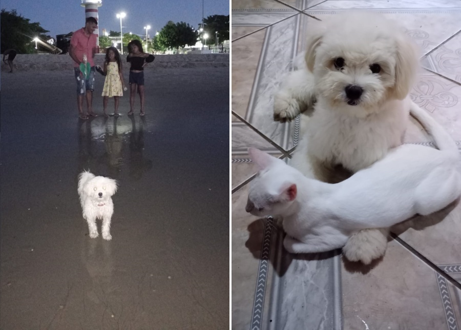 Su familia lo ama, se salvó de milagro en La Plata y juntan fuerzas para un durísimo segundo round: “Es el bebé más chico”