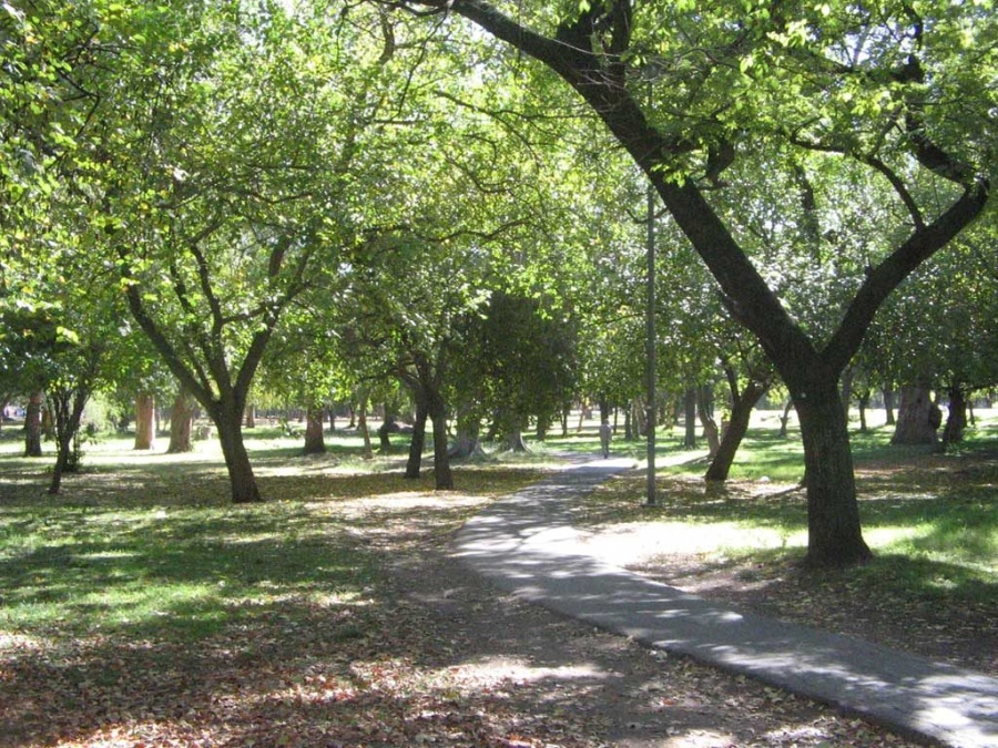 Una joven denunció que fue abusada en el Bosque platense