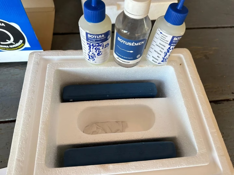 Un brasileño quiso entrar semen de caballo a la Argentina y quedó demorado