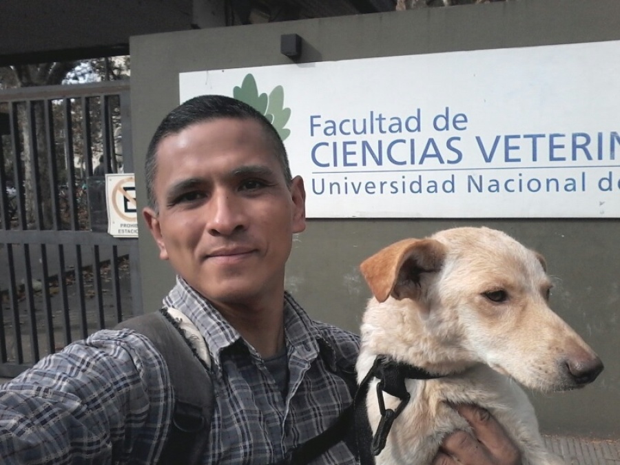 Vive con 40 perros en La Plata, gasta 35 mil pesos por día solo en comida y son su familia: ”Soy el Alfa; ese es el secreto”