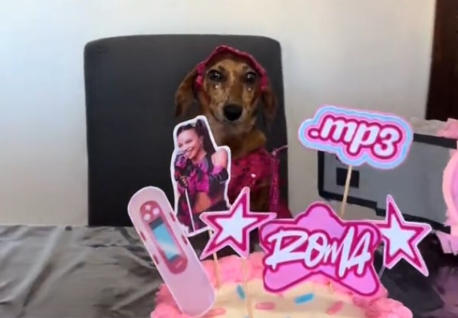 ”Una perra exclusive”: le hizo una fiesta con temática de Emilia Mernes a su salchicha y se volvió furor