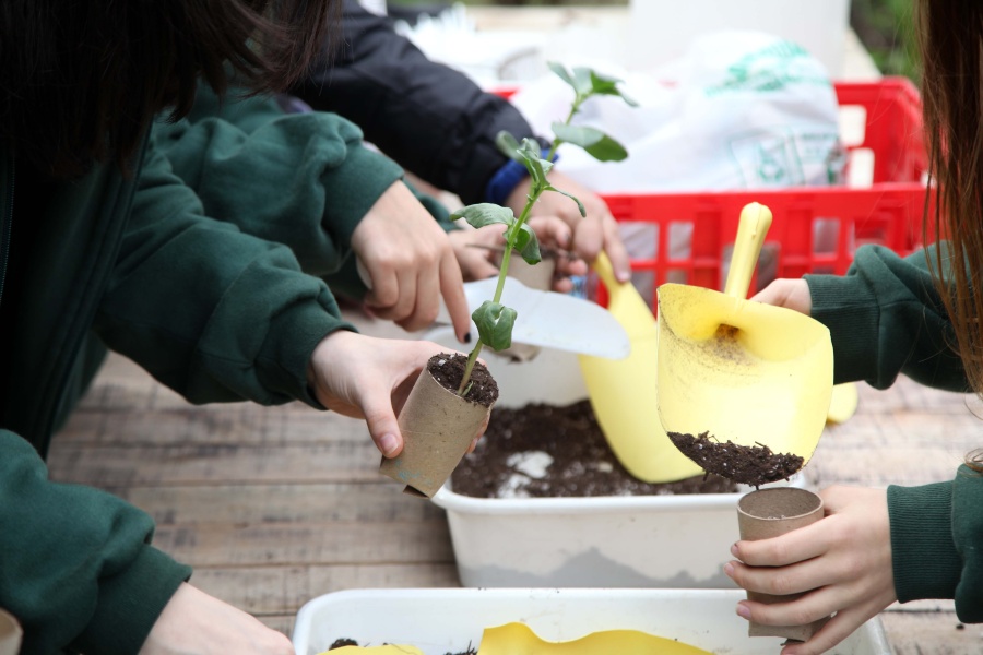 Realizarán actividades para el cuidado del medio ambiente y cursos de RCP en La Plata
