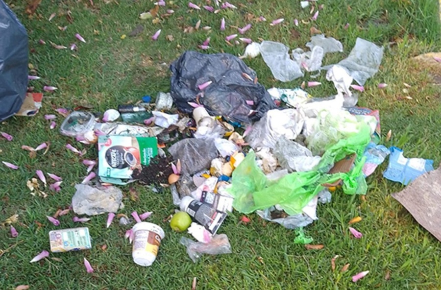 Reclamos en Villa Elvira y El Mondongo por basura en la calle