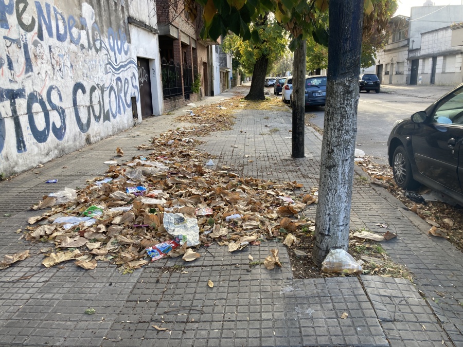 “¿Nadie piensa juntar nada?”: El enojo de los vecinos de La Plata por la falta de recolección de hojas