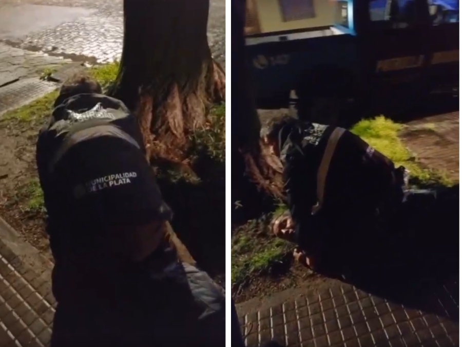 Detuvieron a un hombre denunciado por agredir a vecinos este domingo en La Plata