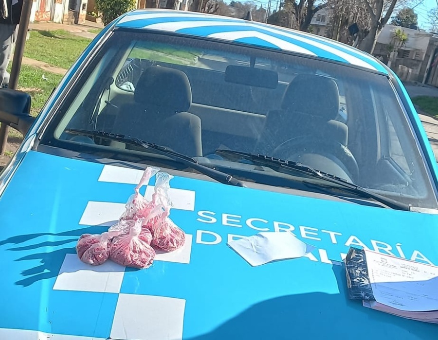 ¿Los Hornos, libre de ratas?: un operativo municipal de limpieza trajo alivio ante la aparición de ”lindas mascotitas”