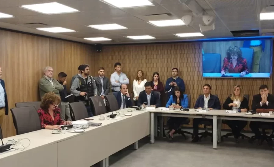 Un proyecto que contempla el deporte como política de Estado avanza en Diputados: ”era necesaria una mirada federal”