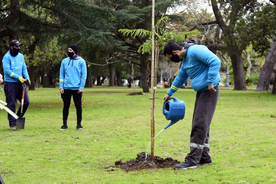 Iniciaron la reforestación del cordón verde en el Paseo del Bosque, con la plantación de 150 árboles