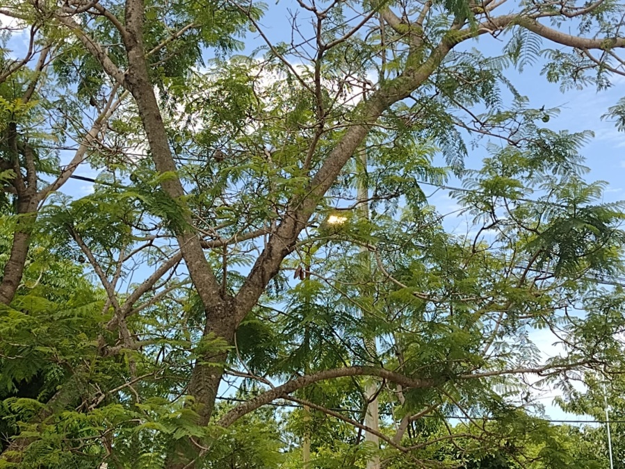 En Ringuelet lamentaron el derroche de energía por luces prendidas las 24 horas