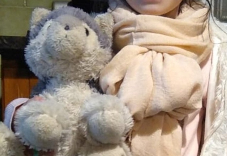 La Plata movilizada para buscar un peluche: “Ella sólo quiere encontrarlo”