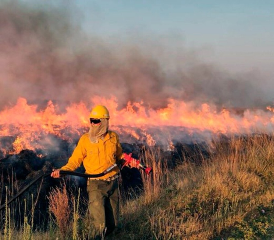 Corrientes y Río Negro registran focos activos de incendios forestales