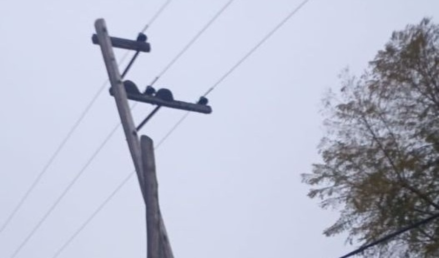 ”Se va a caer y nadie hace nada”: La preocupación de los vecinos de Olmos por un poste