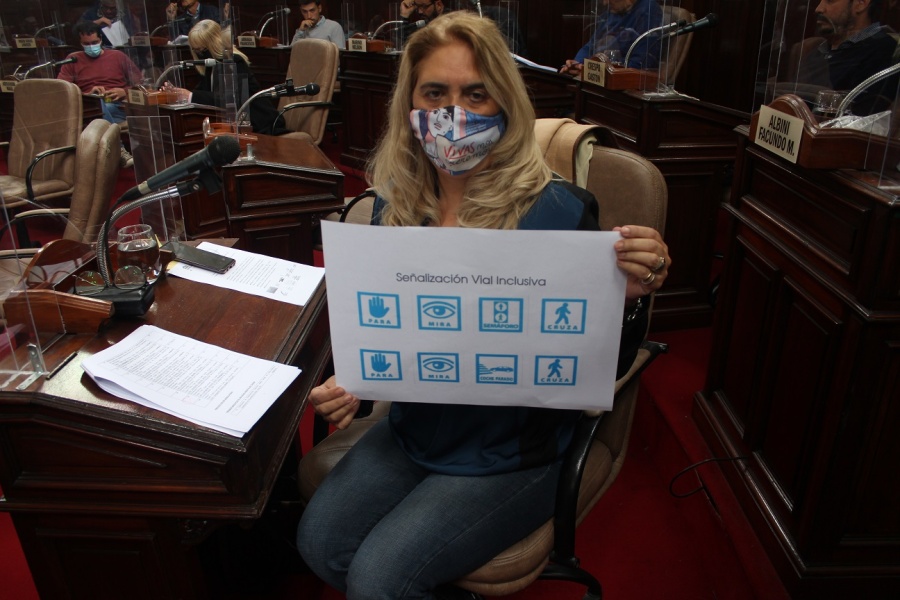 Proponen que la señalización vial de La Plata sea inclusiva para personas con autismo