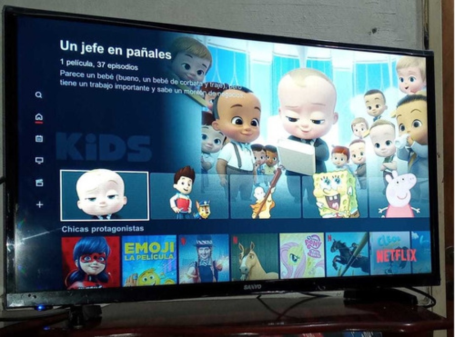 Es de La Plata, quiso poner una película animada a sus hijos, apreció una propaganda subida de tono y se desesperó