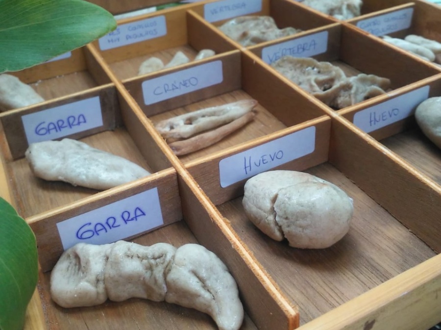 Un mini ”Jurassic Park” atrapa a los chicos del barrio La Cumbre de La Plata y su creadora cuenta los detalles: ”Les encanta”