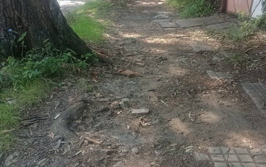 Vecinos de La Plata reclamaron por el estado de las veredas de calle 71