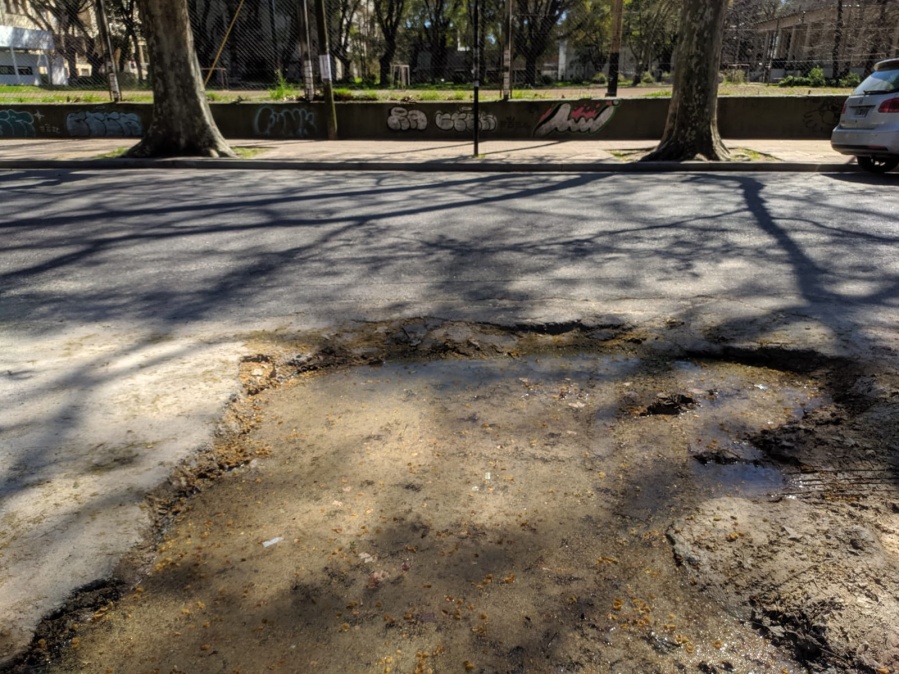 Vecinos reclaman una reparación urgente por un gran bache frente al campo de deportes de la facultad de La Plata