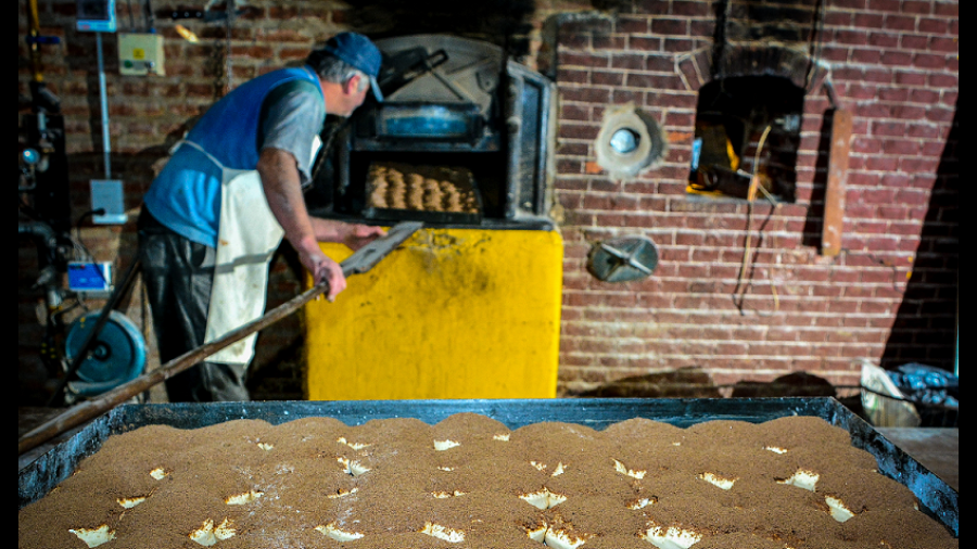 Más de 20 mil bonaerenses disfrutarán de la fiesta de La Torta Negra