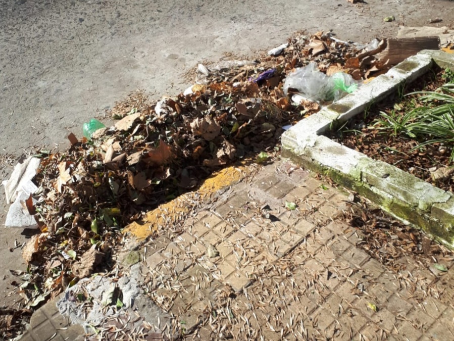 Vecinos reclaman que barran las hojas en 18 entre 46 y 47